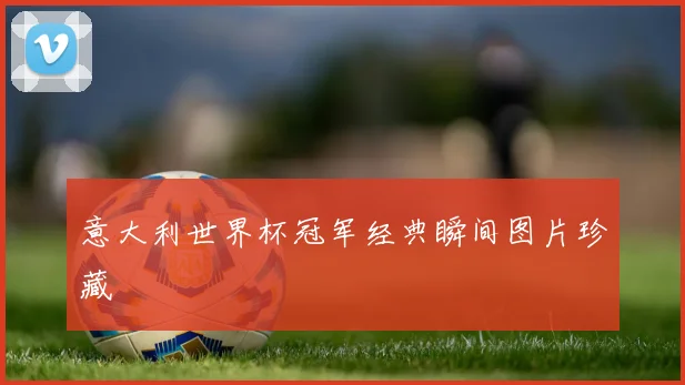 意大利世界杯冠军经典瞬间图片珍藏