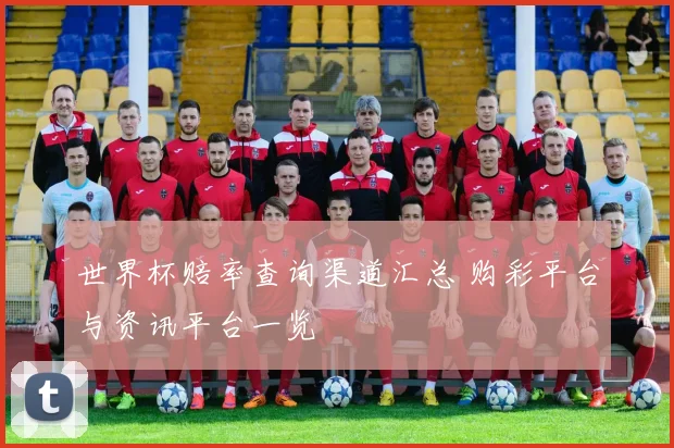 世界杯赔率查询渠道汇总 购彩平台与资讯平台一览