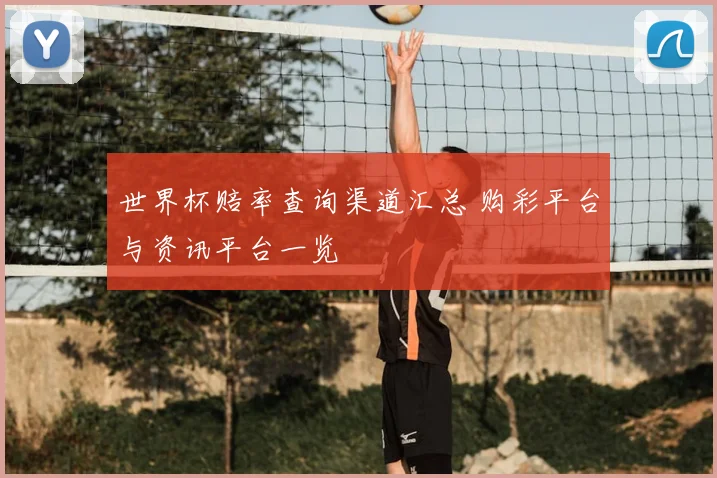世界杯赔率查询渠道汇总 购彩平台与资讯平台一览