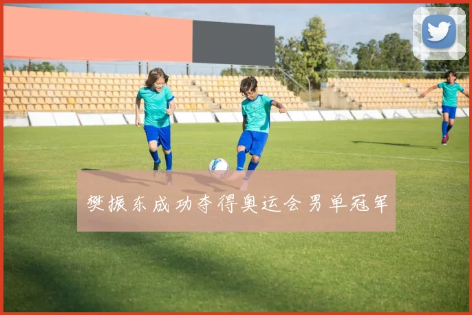 樊振东成功夺得奥运会男单冠军